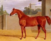 Comus, A Chestnut Racehorse in a Stable Yard - 约翰·弗雷德里克·赫尔林